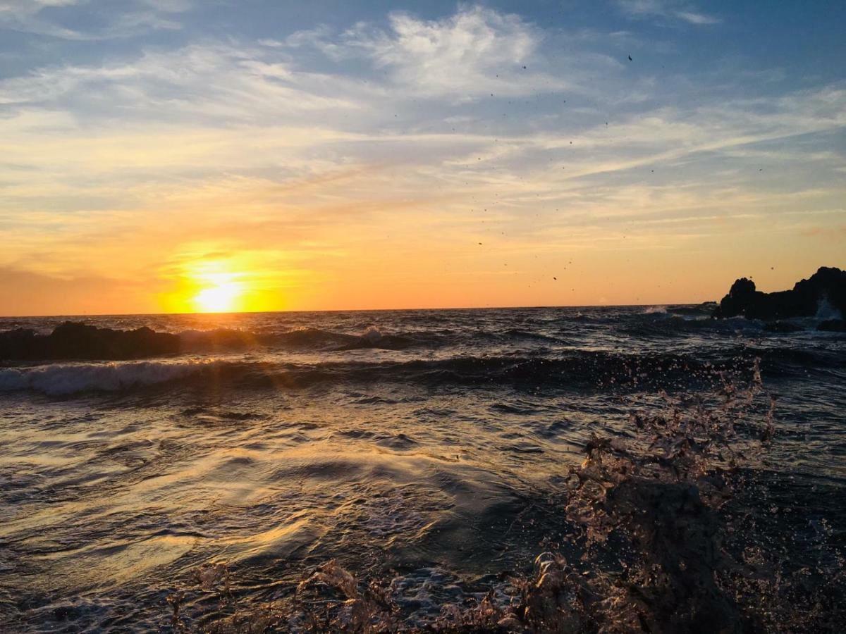 Villa Le Week End Ajaccio  Dış mekan fotoğraf